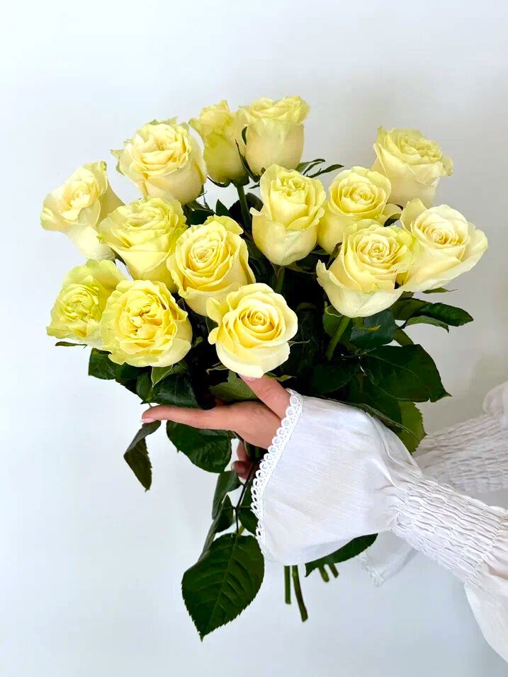 Розы Эквадор фисташковые 15 шт. Свежие цветы
